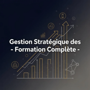 Gestion Stratégique des Risques - Formation Complète